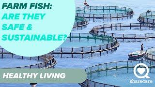 Are Farm Fish Safe and Sustainable? | Healthy Living | Sharecare