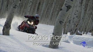 Polaris Plant