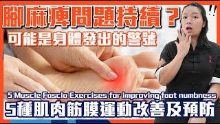 腳指麻痺是身體發出警號！｜5種肌肉筋膜運動改善及預防｜5 Muscle Fascia Exercises for improving foot numbness｜