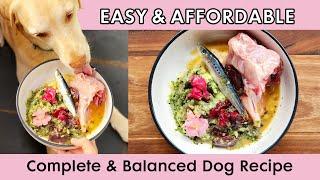 Dog Food Recipe  Easy, Affordable, Complete and Balanced (AAFCO)