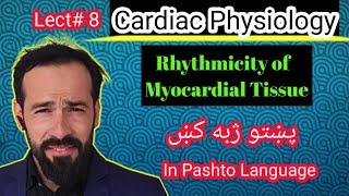 Le#8 Rhythmicity of Heart | Properties of Myocardium | Excitability, Automaticity, Rhythmicity