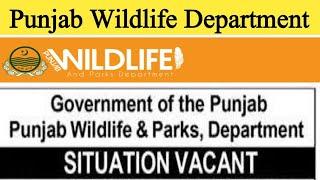 Punjab government Wildlife Department jobs 2024 | Wildlife supervisor Jobs in Pakistan