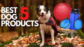 5 Best Products I've Bought My Dog
