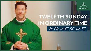 Twelfth Sunday in Ordinary Time - Mass with Fr. Mike Schmitz