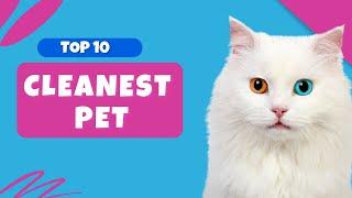 Top 10 Cleanest Pet in the World | Low Maintenance Pet | Easy to Care Pet | Makoree Pedia