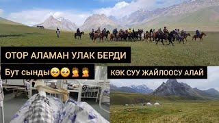 "ОТОР" АЛАЙ КӨК СУУДА АЛАМАН УЛАК БЕРДИ БИРОК ТИЛЕККЕ КАРШЫ ИШ БОЛДУ