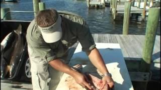 Rigs Tips Cobia Cleaning