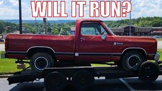 1988 Shortbed D100 Acquired, Will it Run?