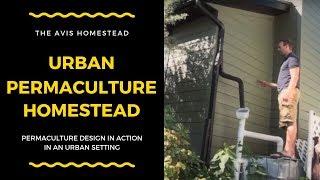 Permaculture Design: Water Harvesting On Our Sustainable Urban Homestead