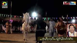 Larab l Hasrat  l Horse Dance 1st October 2023 l Mehmood Pura Chak No 1 Nankana l Ali Hassan Gujj