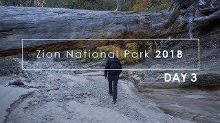 Zion Fall 2018: (Day 3) Analog Landscape Photography in Zion