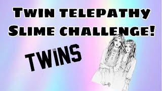 TWIN TELEPATHY SLIME CHALLENGE with PRECIOUS!!!