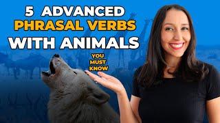 Vocbulary in Use - 5 Advanced Phrasal Verbs With ANIMALS