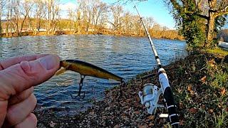 Winter TROUT FISHING with Jerkbaits