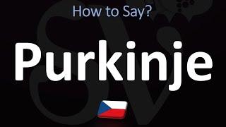 How to Pronounce Purkinje Fibers?