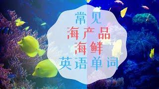 零基础|常见海鲜/海产品英语单词|英语口语单词