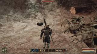Gothic 3 - Crawler Extermination
