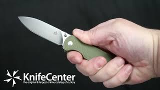 QSP Knives Parrot V2 Liner Lock Folding Knife