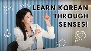 Learning Korean Through the 5 Senses!