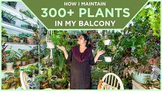 How I Maintain 300+ Plants in My Balcony | Indoor Plant Care | Low light Plant Care