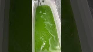 The Lush Shrek bath bomb #lush #shrek #lushshrekbathbomb #fyp #lushshrek #bathbomb #swamp