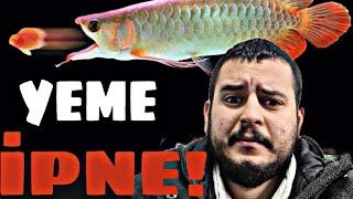 AROWANA ALDIM EŞKİYA LAN BU!