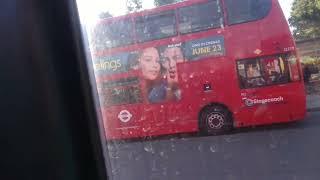 Adults Acting Like Children | GAL SE65 On Bus Route 244 (12)