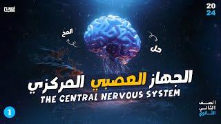 الجهاز العصبي المركزي - الجزء الأول - المخ - الصف الثاني الثانوي - 2024