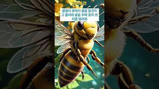 꿀벌의 신기한 비밀! 집을 찾는 놀라운 방법 #왜글댄스 #shorts