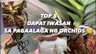 TOP 8 DAPAT IWASAN SA PAGAALAGA NG ORCHIDS INDOOR DONT WHEN GROWING ORCHIDS