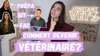 Comment devenir vétérinaire? Etudes à l'étranger, voie post-BAC, FAC, prépa, IUT, parlons de TOUT