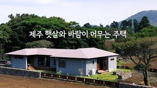 전원주택  |  제주의 햇살과 바람이 머무는 제주도 주택!  오름을 정원 삼은 단아한 단층 전원주택    #제주전원주택택 #제주주택 #제주도주택