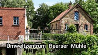 Rundgang durch das Umweltzentrum Heerser Mühle in Bad Salzuflen im Sommer.