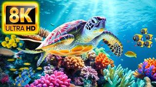 The Ocean 8K VIDEO ULTRA HD - Sea Animals for Relaxation, Beautiful Coral Reef Fish in Aquarium #29