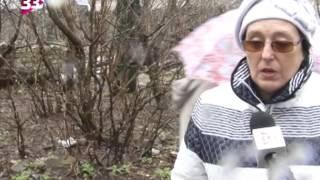 Ковров "потемкинский"