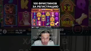 Азартный Бомж хорошо начал в собаках. #заносынедели #слоты #онлайнказино