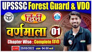 वर्णमाला : हिंदी व्याकरण | Varnmala in Hindi | Hindi For UPSSSC Forest Guard | UPSSSC VDO Hindi #1