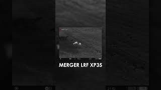 Deer captured with Pulsar thermal imaging binoculars Merger LRF XP35. #pulsarvision