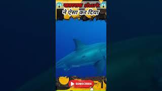  Shark और  fisherman ने किया  | Australia Arnold pointer  Rsmsa factz  #shorts