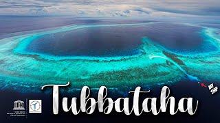 TUBBATAHA The Crown Jewel of the Philippines