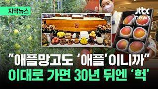 [자막뉴스] "조상님. 애플망고는 안드셔보셨죠"…이러다 30년 뒤엔 / JTBC News