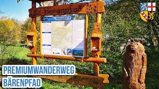 Premiumwanderweg Bärenpfad #saarland #wanderlust #hiking