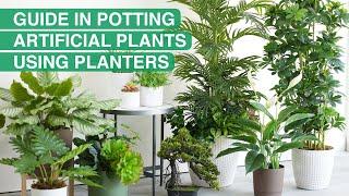 Guide in Potting Artificial Plants Using Planters | MF Home TV