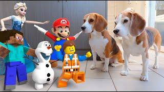 Animations in REAL LIFE vs Funny Dogs  Mario - Olaf - LEGO and Many More!