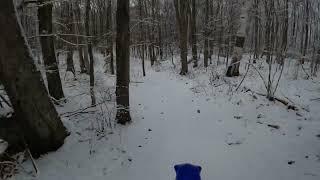 First snow ride ever. YZ450FX Sno blazo