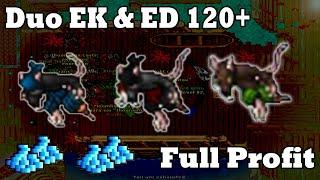 DUO EK & ED 120+ 250K PROFIT // 1.5 KK EXP // DE LAS MEJORES ZONAS PARA DUOS LOW LEVEL TIBIA