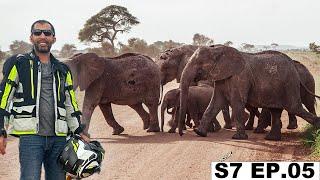 EXPENSIVE BUT GOT VERY LUCKY TO SEE ALL WILDLIFE S7 EP.05 | Pakistan to South Africa Motorcycle Tour