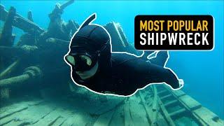 Freediving Shipwreck #shorts