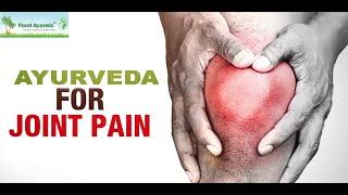 Ayurvedic Herbs & Remedy for Joint Pain and Inflammation