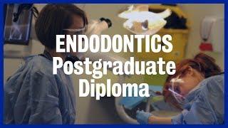 Endodontics Postgraduate Diploma | King's College London